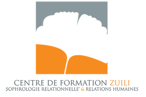 Copie de logo zuili