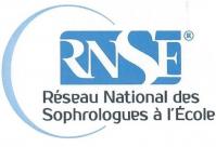 Cropped logo rnse icone